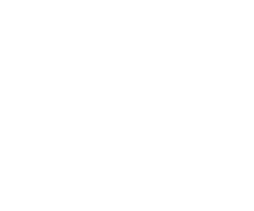 WIR VERSTEHEN UNS ALS BRÜCKEN- BAUER